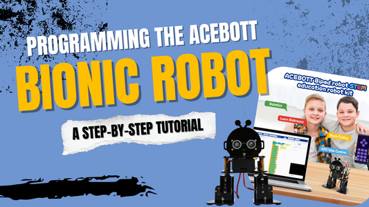Programming the ACEBOTT Bionic Robot - Cover image