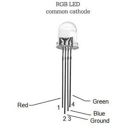 RGB LED (Common Anode ) (Pack of 10)