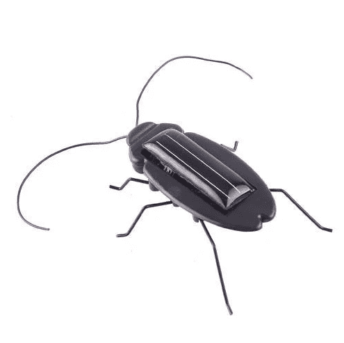 Solar Powered Black Cockroach Toy โ Realistic DIY Kits, nature STEM Kits & Robot Kits with solar energy. -Robocraze