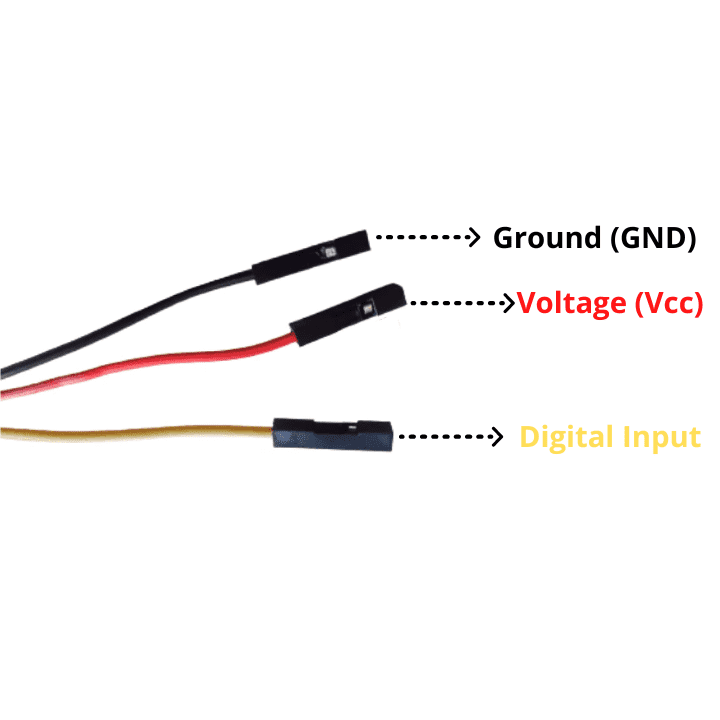 Witty Fox Smart Plug - Digital Relay-Robocraze