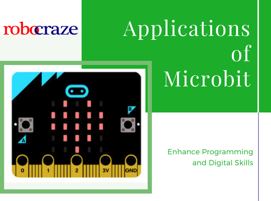 what is a microbit