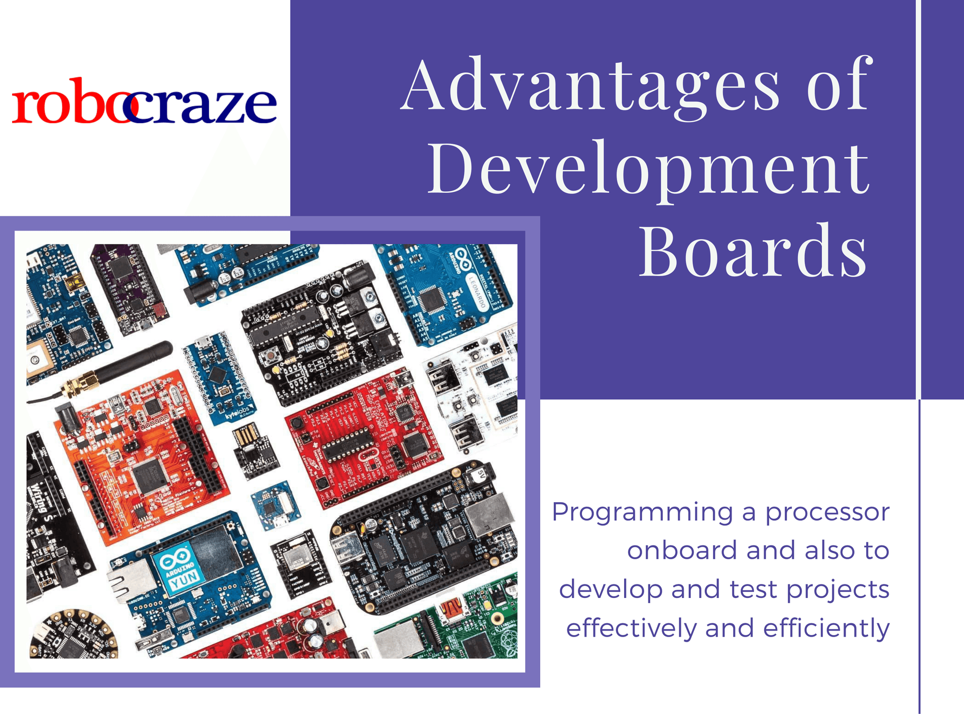 What is Development Board & its Advantages – Robocraze