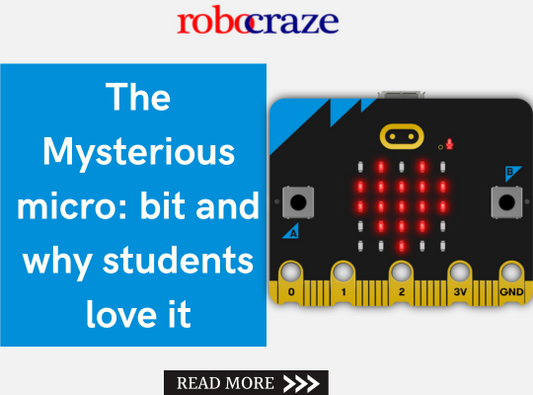 The Mysterious micro: bit and why students love it