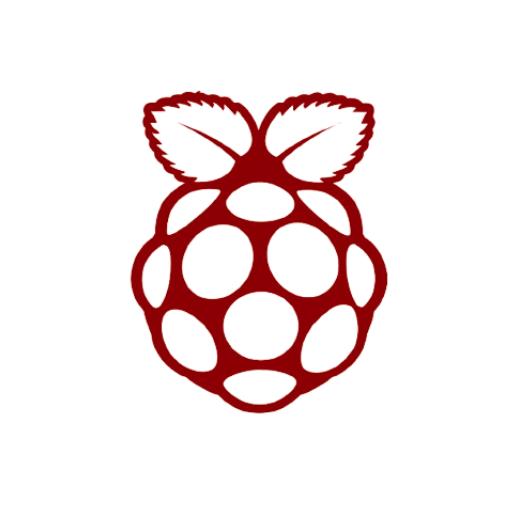 Buy Raspberry Pi Boards Online India | Robocraze