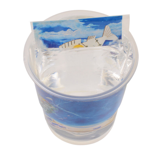 Pludo STEM Kit Magic Light – DIY Educational Toy for Kids 3–8 | Preschool–Grade 2 Light Refraction Activity -DIY Kit -Pludo Education Kit -Robocraze