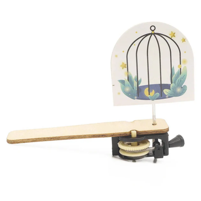 DIY Wooden Caged Bird Puzzle STEM Kit – Educational STEM Toy for Kids -Robocraze