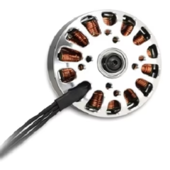 Robocraze Tarot Motor TL2955 4008 330KV Brushless Motor for Drone and UAV - Drone Motors - Robocraze