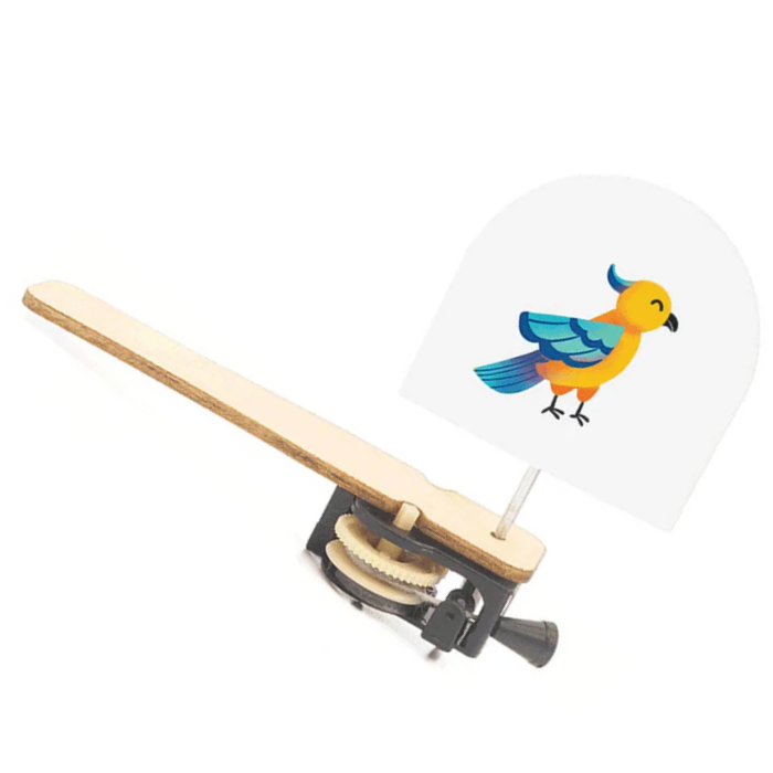 DIY Wooden Caged Bird Puzzle STEM Kit – Educational STEM Toy for Kids -Robocraze