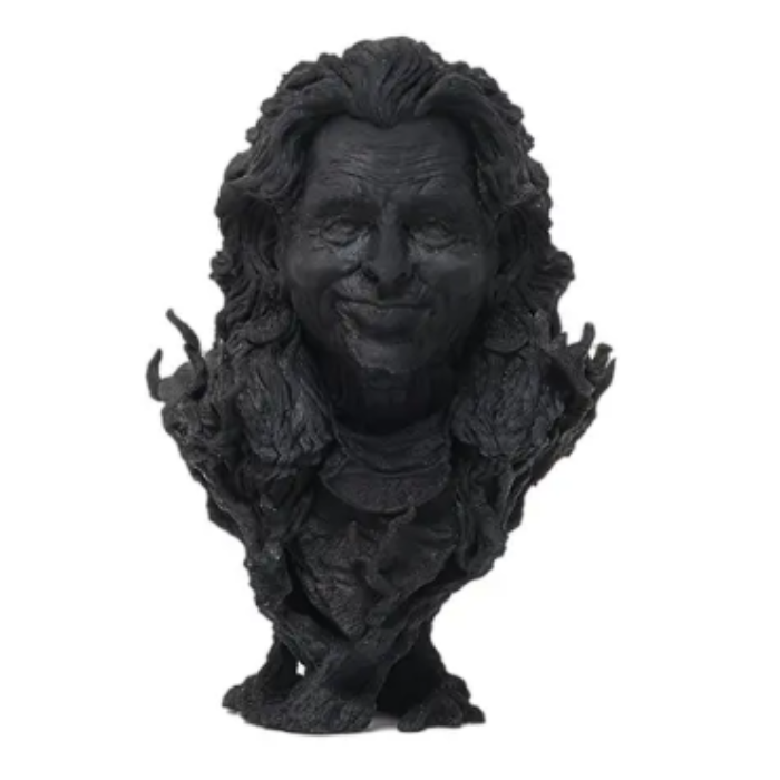 eSun 3D Printer eResin-PLA Pro Bottle 1kg Black Color -3D Printers/Pens -Filaments -Robocraze