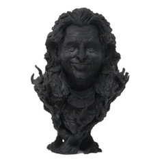 eSun 3D Printer eResin-PLA Pro Bottle 1kg Black Color -3D Printers/Pens -Filaments -Robocraze