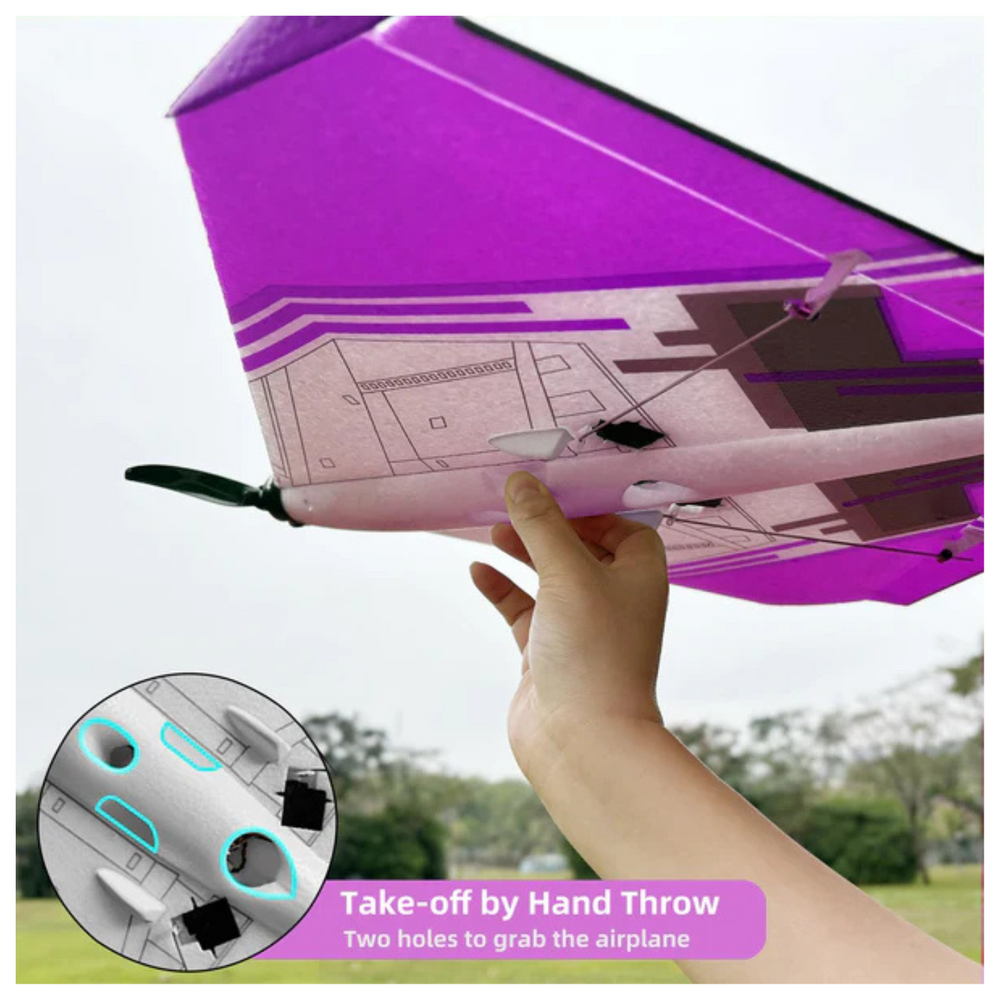 Radiolink D460 RC Airplane RTF – Byme-DB Gyro, Brushless, T8S Transmitter - hand holder