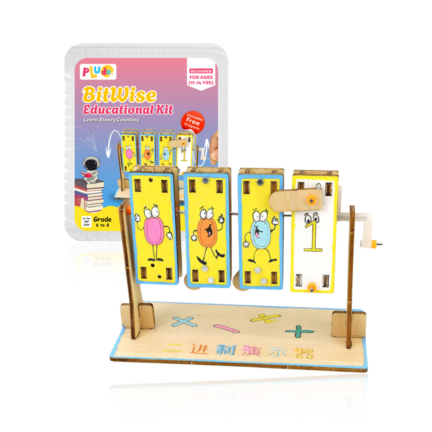 Pludo STEM Kit BitWise - Binary Learning Kit (11-14 Yrs) for grade 6-8 (11)