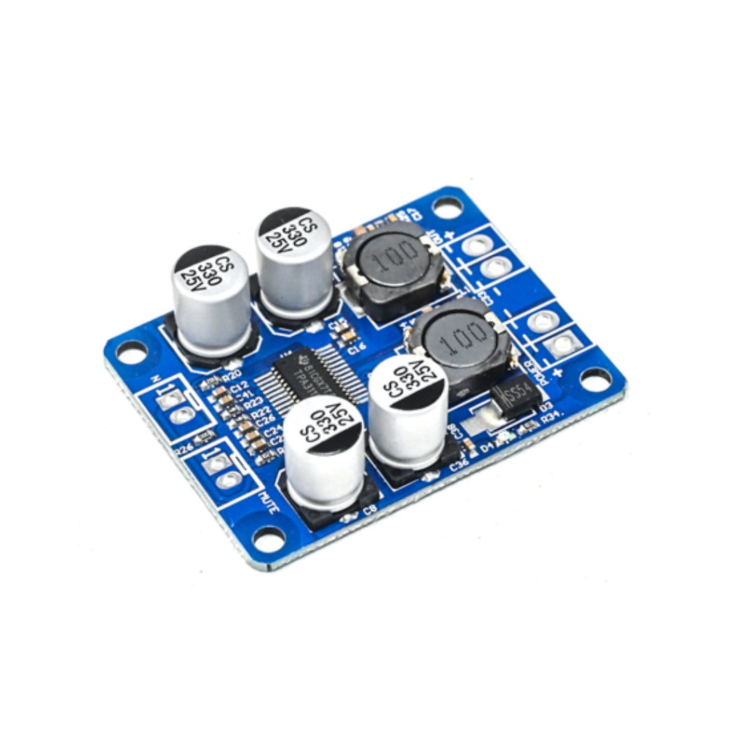 Bulk TPA3118 PBTL Mono Digital Amplifier