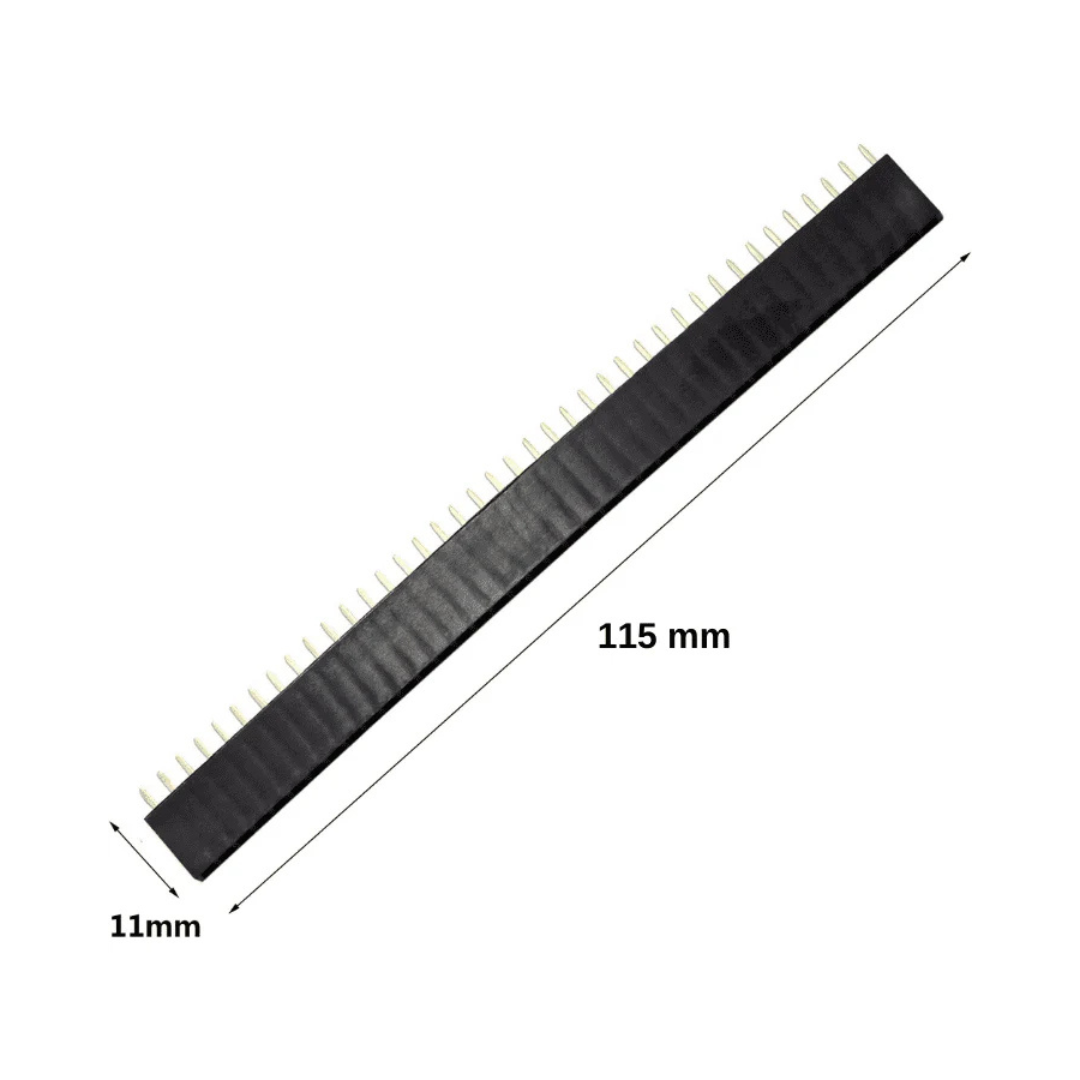 Bulk 40x1 Female Berg Strip