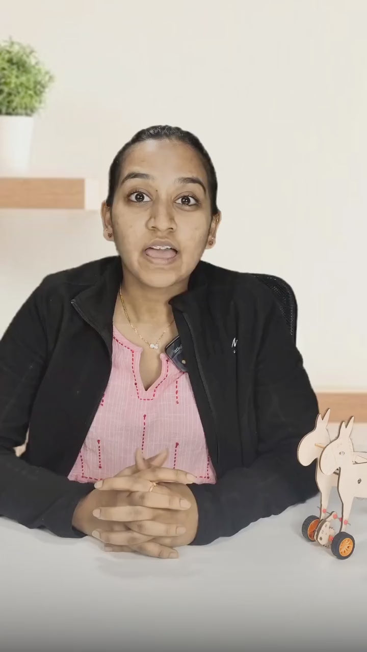 Pludo Pneumatic Donkey Educational Toy STEM Kit