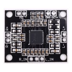 PAM8610 Digital Amplifier Board – High-performance PAM8610 digital amplifier. -Amplifier Board -Robocraze