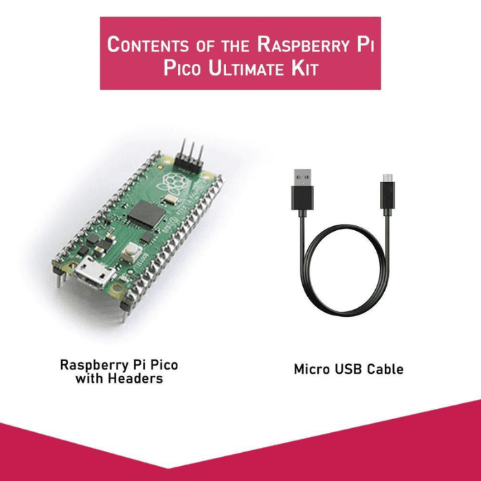 Raspberry Pi Pico Ultimate Starter Kit at Rs 1699/piece, Nawada, New  Delhi