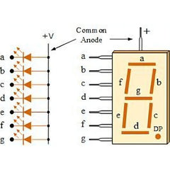 7-Segment LED Display (Common Anode) – For electronic circuits. -LED Display -Robocraze