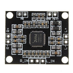 PAM8610 Digital Amplifier Board – High-performance PAM8610 digital amplifier. -Amplifier Board -Robocraze