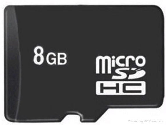 8GB Class 6 SD Card-picture-13