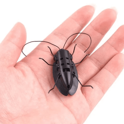 Solar powered Black Cockroach Bug Toy-Robocraze